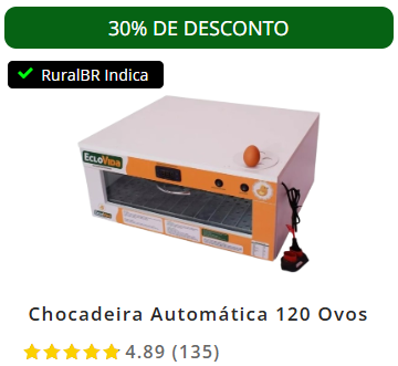 Chocadeira